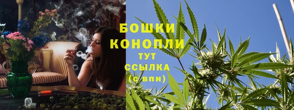 сатива Абаза