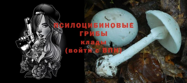 ALPHA-PVP Пестово