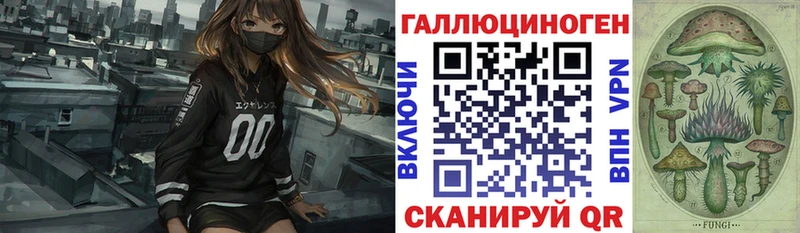 продажа наркотиков Моршанск Галлюциногенные грибы Psilocybine cubensis