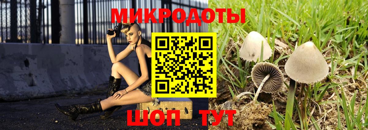 Моршанск  Псилоцибиновые грибы мицелий  Вход с VPN  Псилоцибиновые грибы Cubensis 